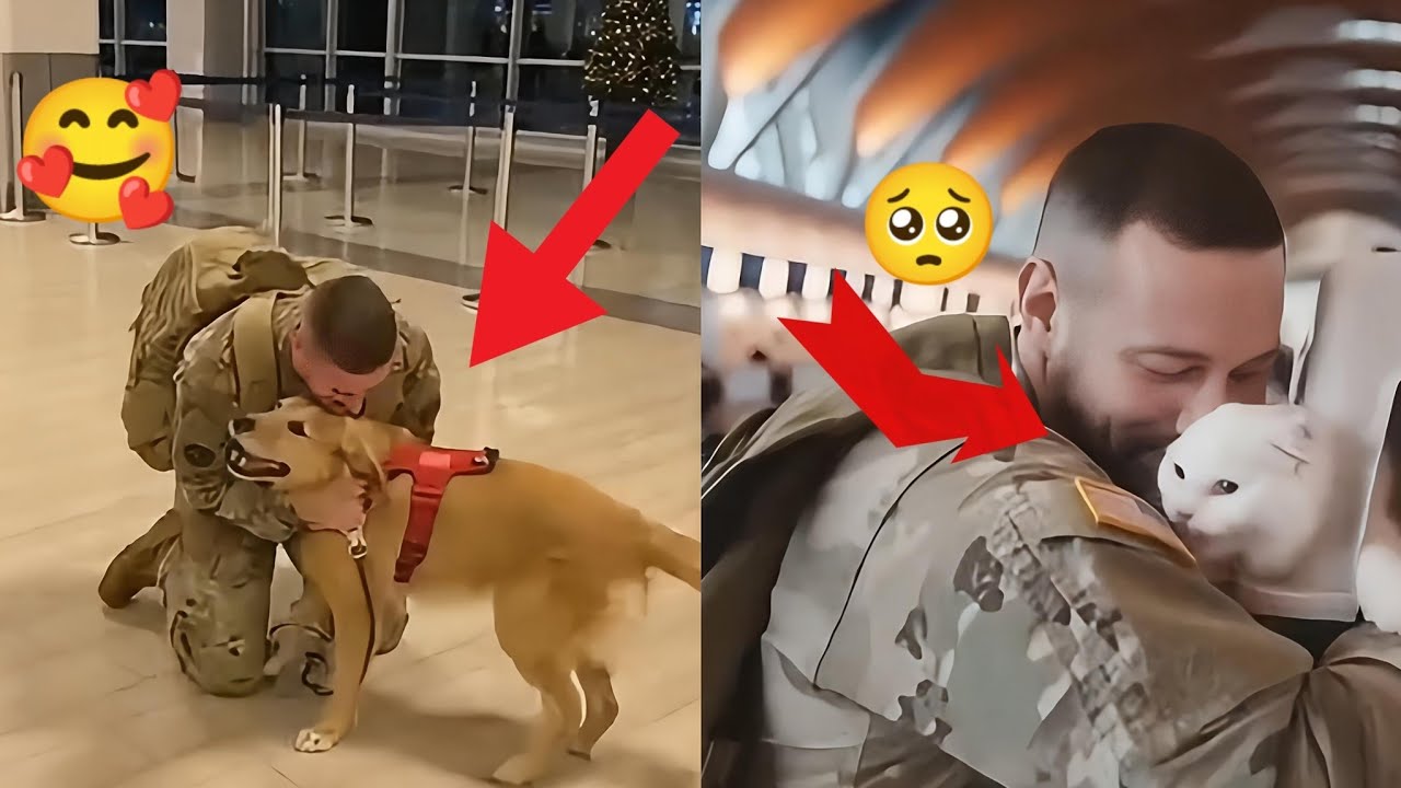 The furry pets have been waiting for their owners for a long time, the time has come for the meeting