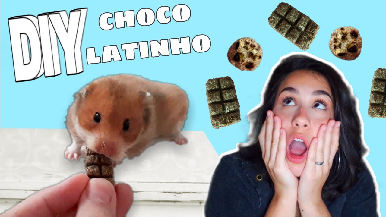 DIY petisco para hamsters: BARRA DE CHOCOLATE!