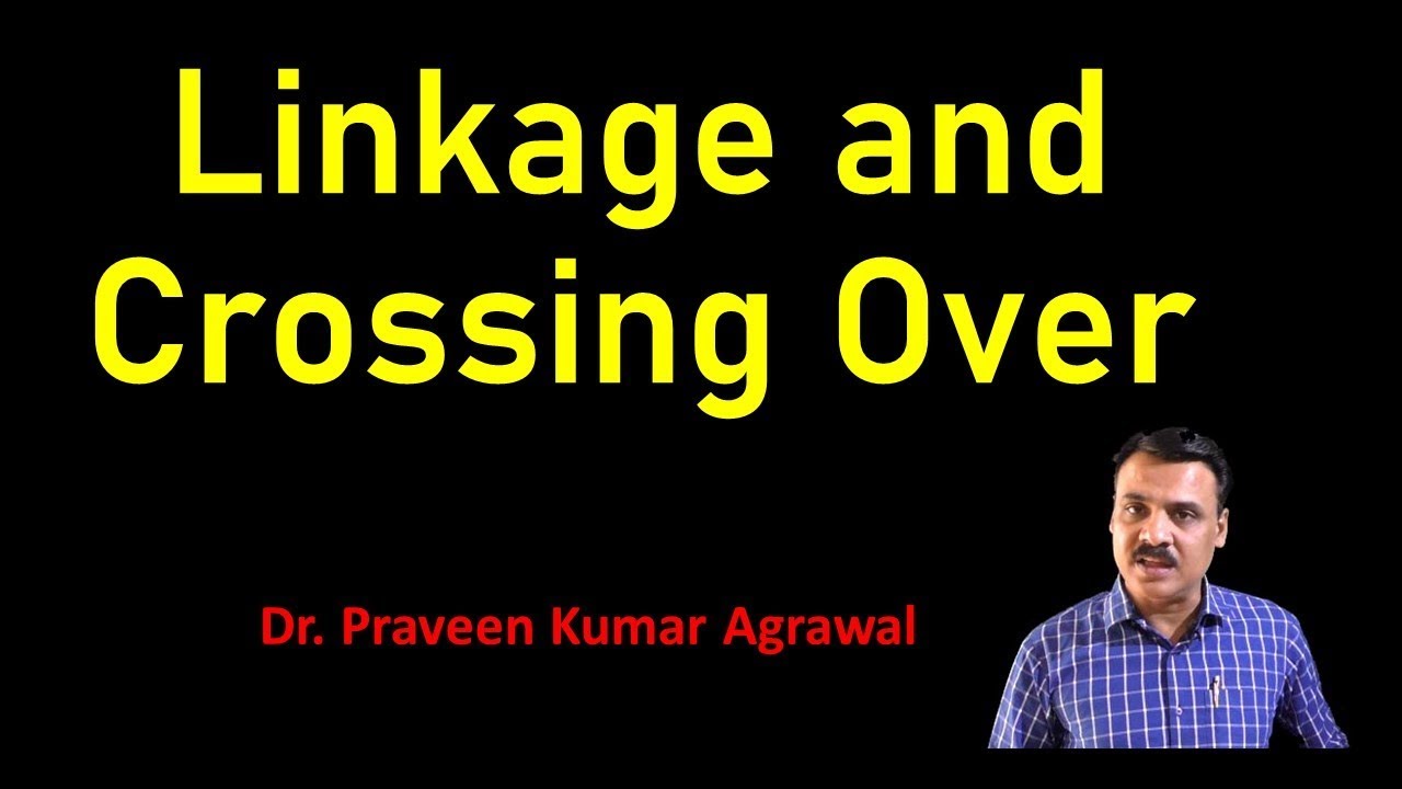 Concept of Linkage and Crossing over (genetics)