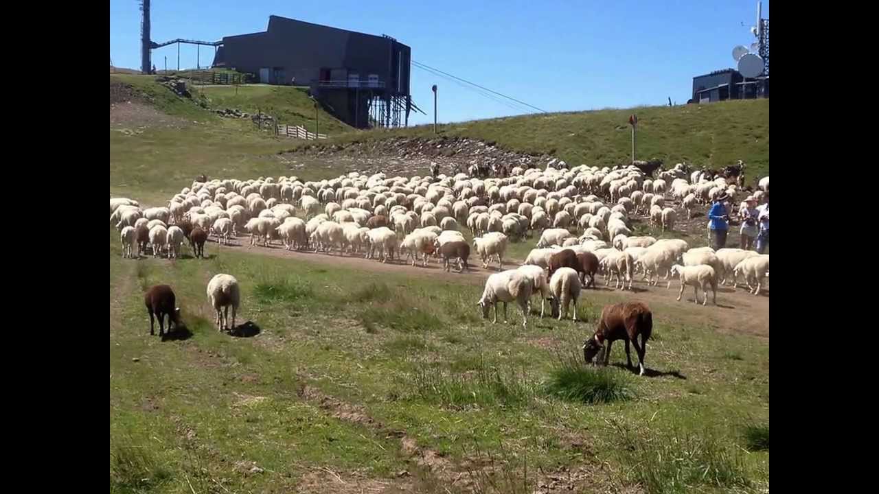 Le Plomb du Cantal