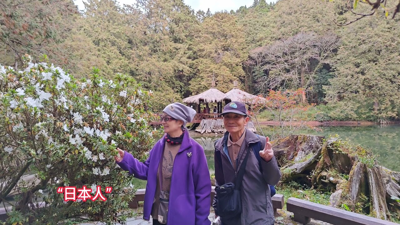 ”大阿里山”廣泛山區3天2夜知性之旅2025/12/22~24