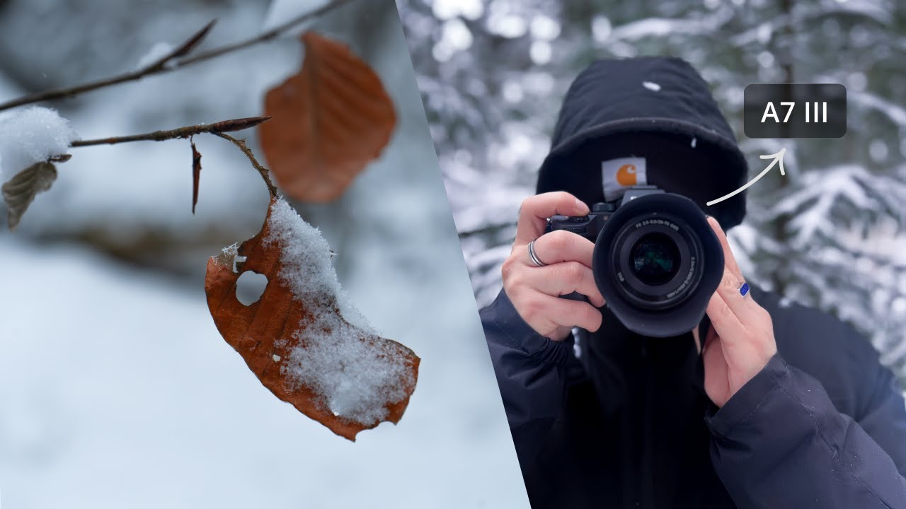 Into the Woods with My Sony A7 III | First Nature Photography Test & Exploration