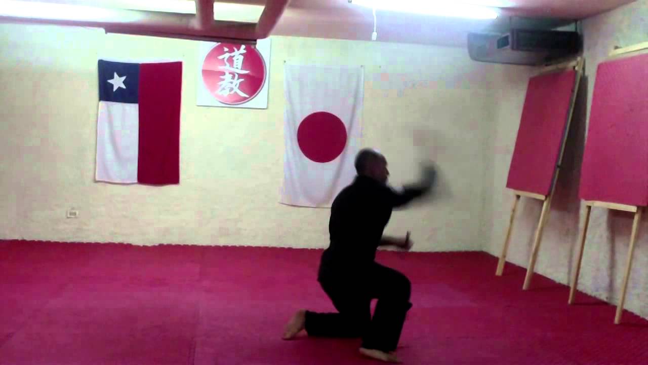 Ninjutsu Chile - Dokyokan