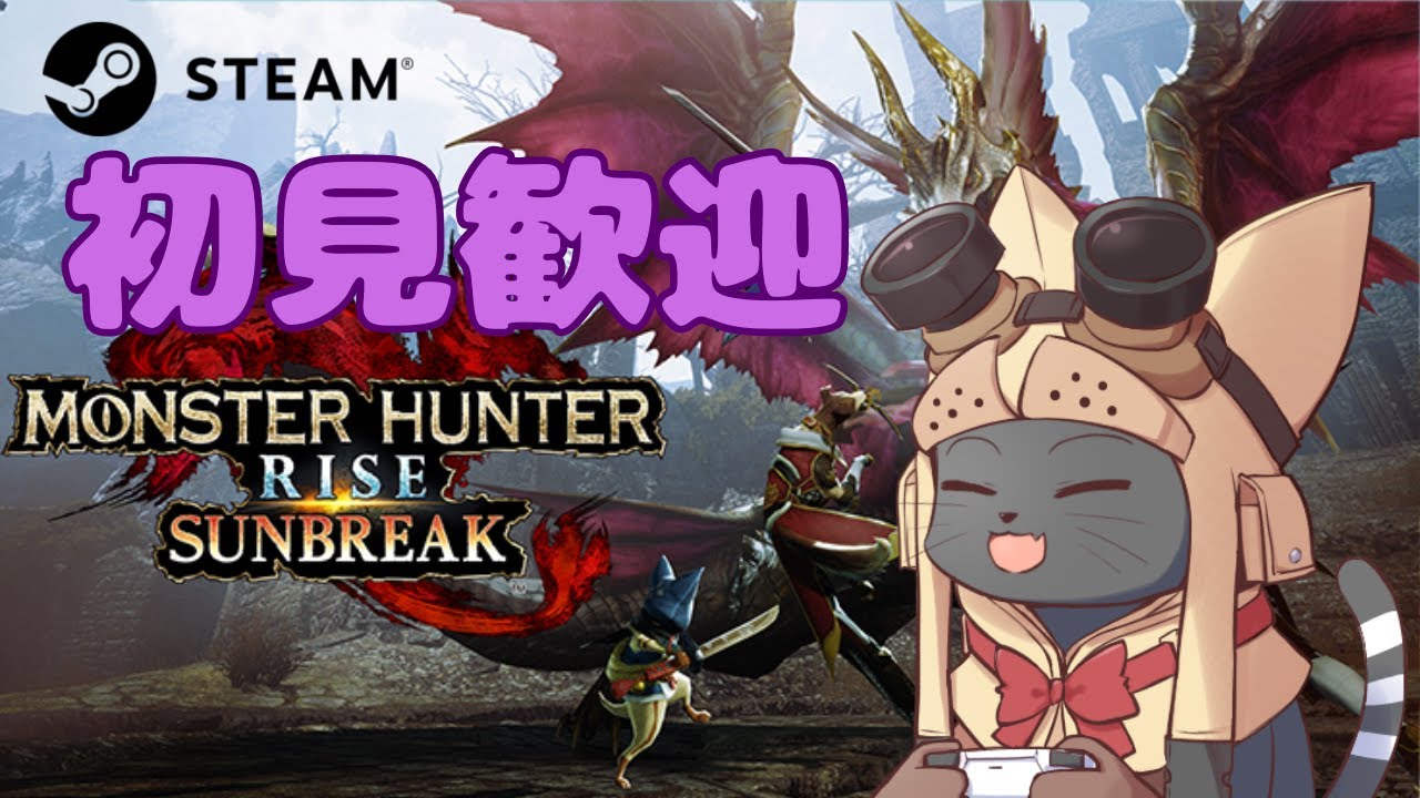 #9 MHRise:Sunbreak｜モンハンライズサンブレイク｜ゆる～く初心者チル狩猟！！【初見さん歓迎／雑談OK／参加型】ねこVTuber