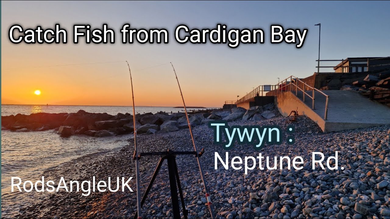 Catch Fish from Cardigan Bay: TYWYN - Neptune Road