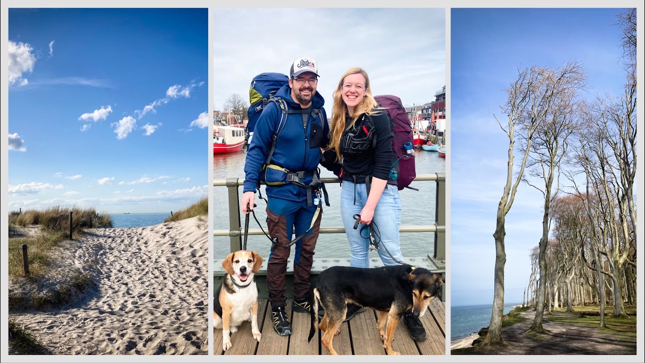 Warnemünde // Wandern // Gespensterwald, Moor & Strand 🐶