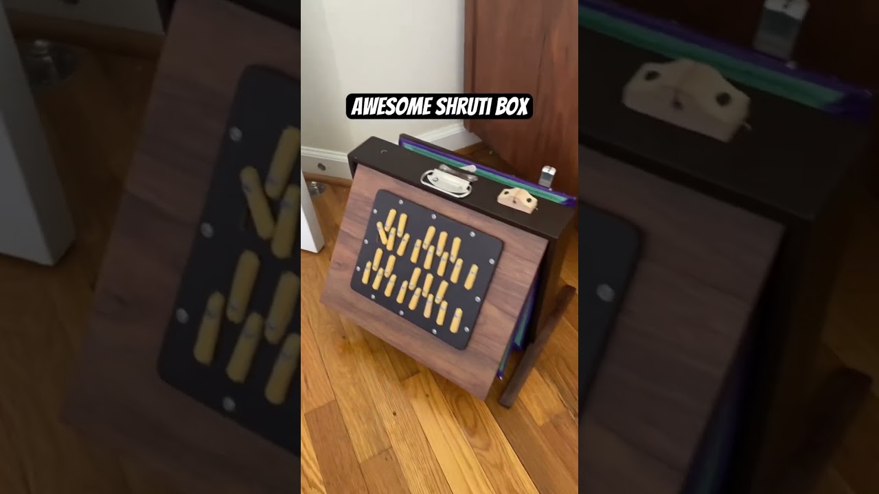 The Shruti Box #instrument #indianinstruments #musicaldrone #drones #chords #musician