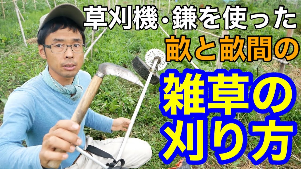 【夏雑草の除草】草刈機･草むしり･小鎌の使い方のコツ【自然農】2021年6月27日