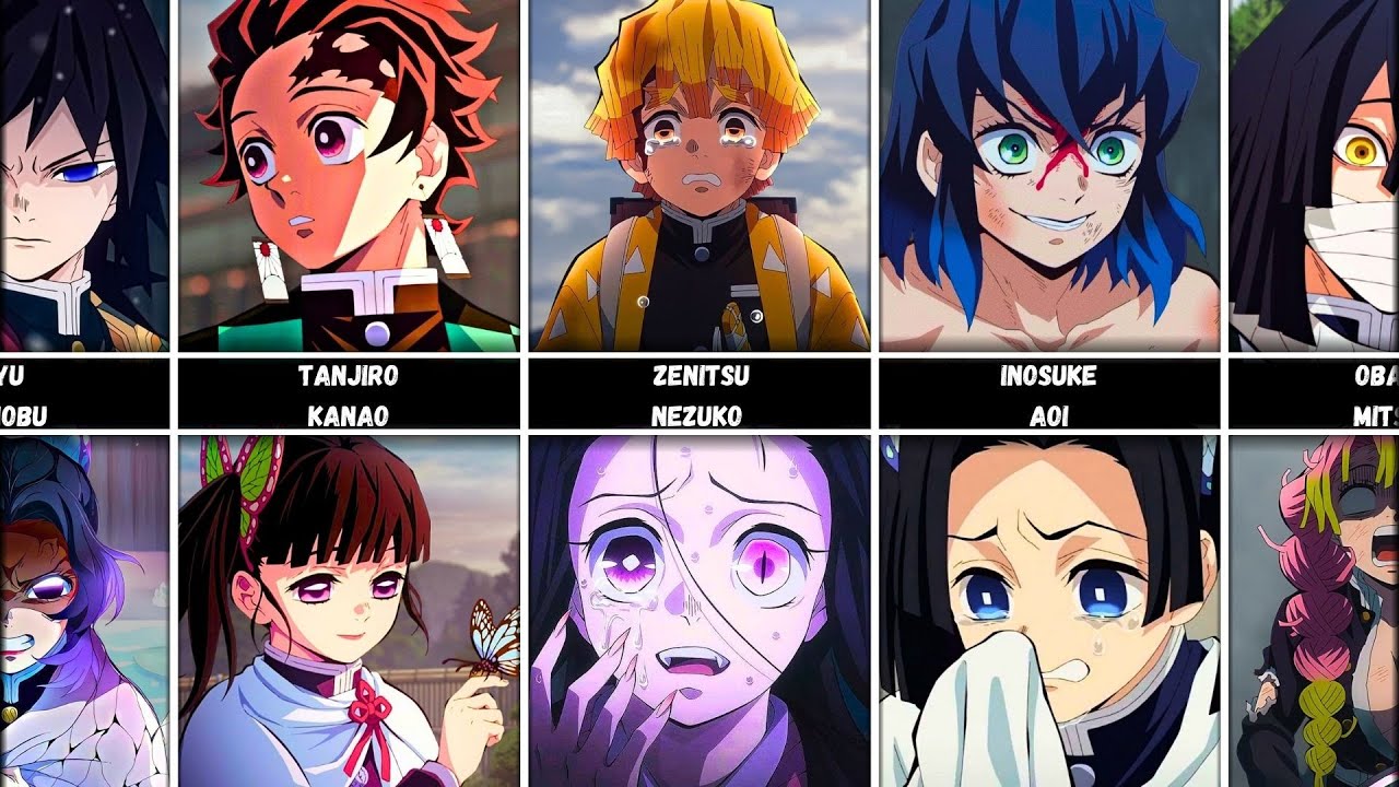 Most Popular Demon Slayer Ships