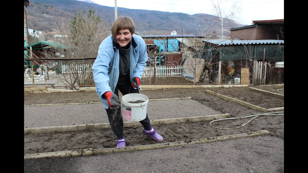 Выращивание Ялтинского лука из семян. Посев чернушки. Сезон 2020