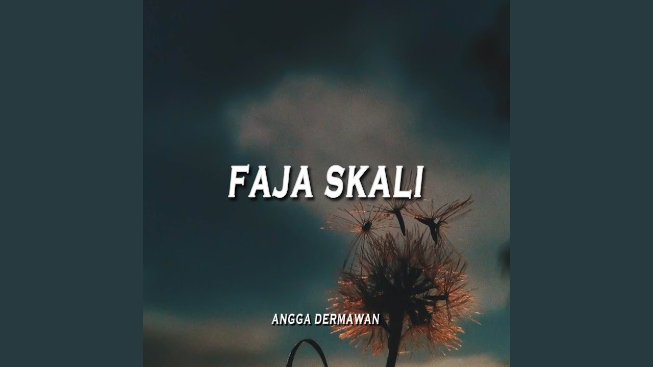 FAJA SKALI (DJ NIAL RMX)
