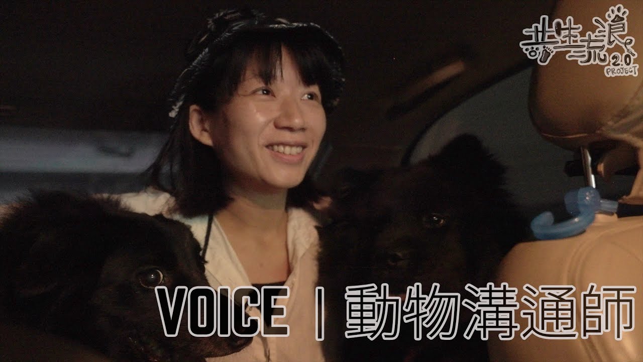 共生流浪2.0計畫｜VOICE - 動物溝通師｜feat. 熊妹＆芫荽