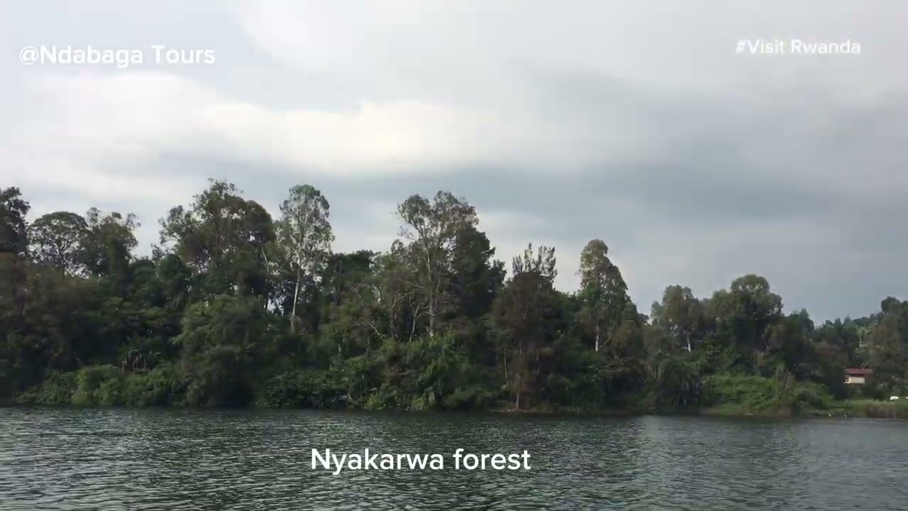 Karwa forest 🌳 🇷🇼With @Ndabaga Tour Rwanda