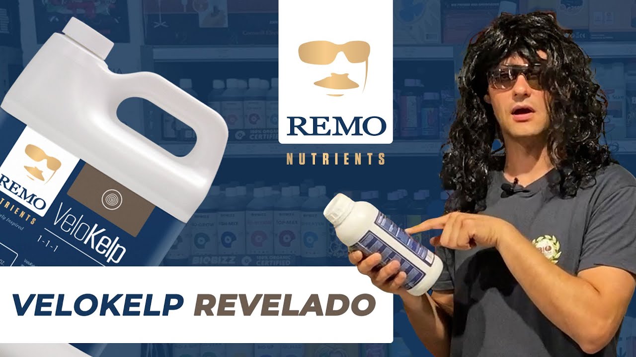 🤫 VeloKelp de Remo Nutrients REVELADO 🤫