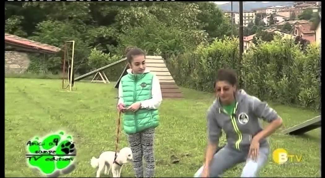 AMICI A 4 ZAMPE puntata 7