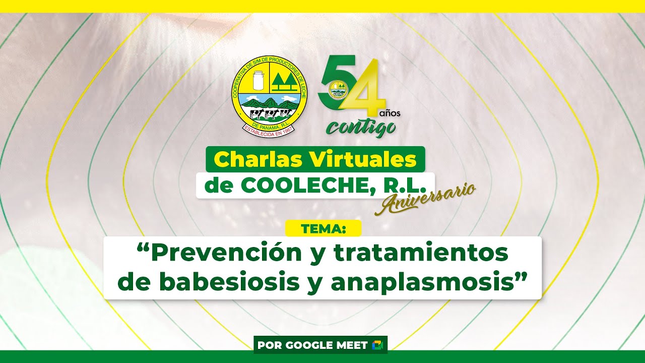 Prevención y tratamientos de babesiosis y anaplasmosis