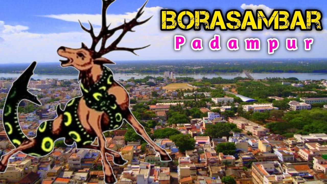 Borasambar Padampur | Bargarh | Sambalpuri vlogs
