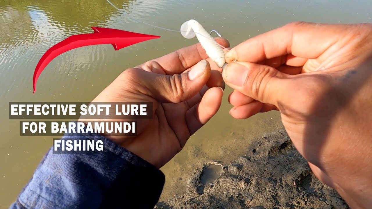 White soft lures are attractive bait for barramundi.