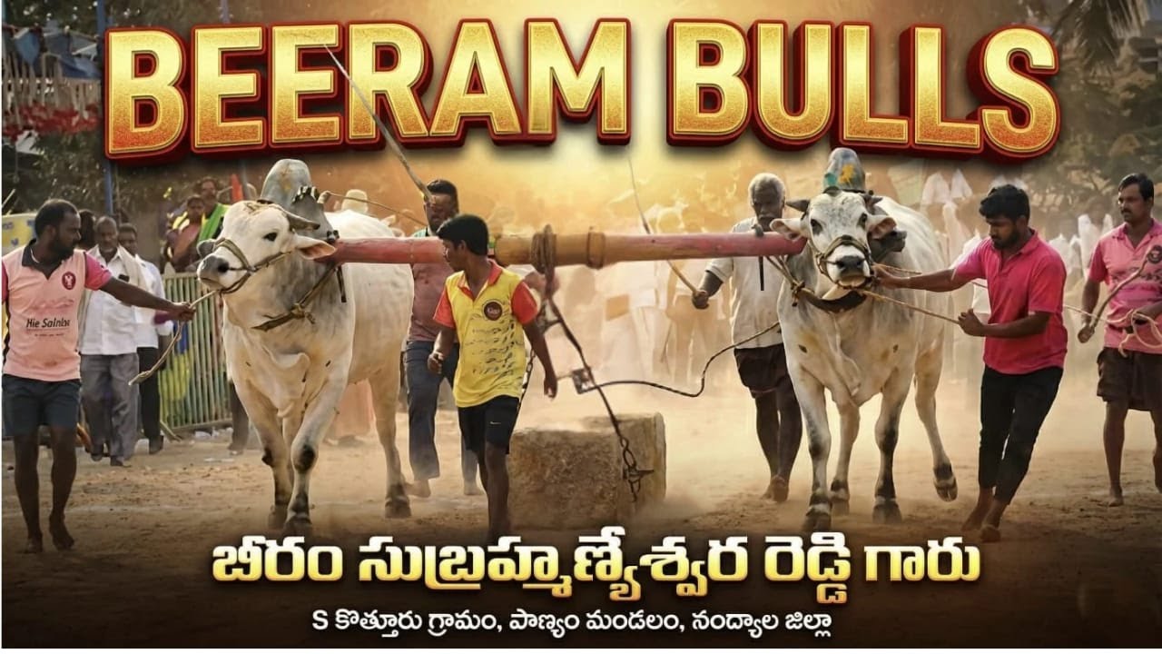 🚩3/2/2026రెంటచింతల సీనియర్స్ 11 జత BEERAM BULLS +బాపతి కొండారెడ్డి గారు