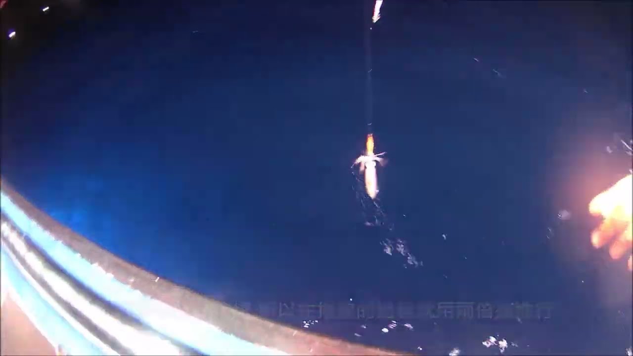 20240608 手持透抽小搞搞