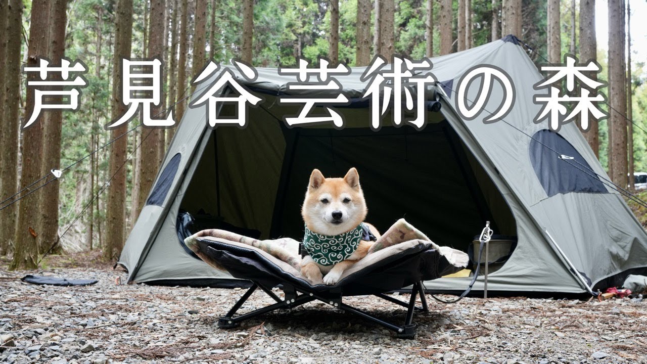 【犬連れキャンプ】大自然に囲まれたスロー空間でゆっくり角煮を作るソロキャンプ 芦見谷芸術の森（京都）