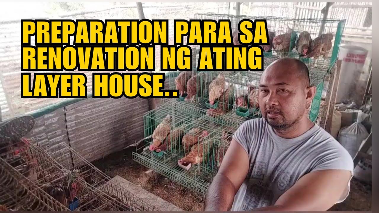PREPARATION PARA SA RENOVATION NG ATING LAYER HOUSE..