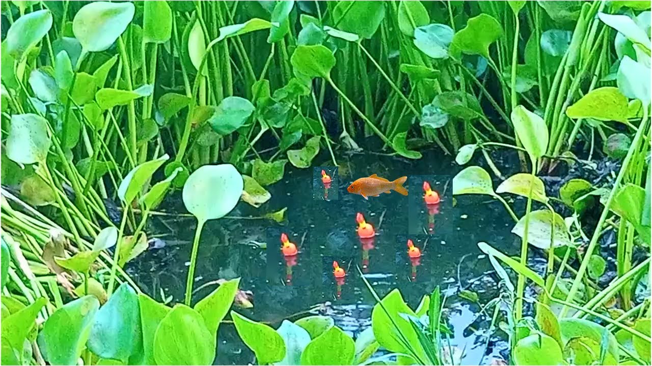 good fishing spots near me,