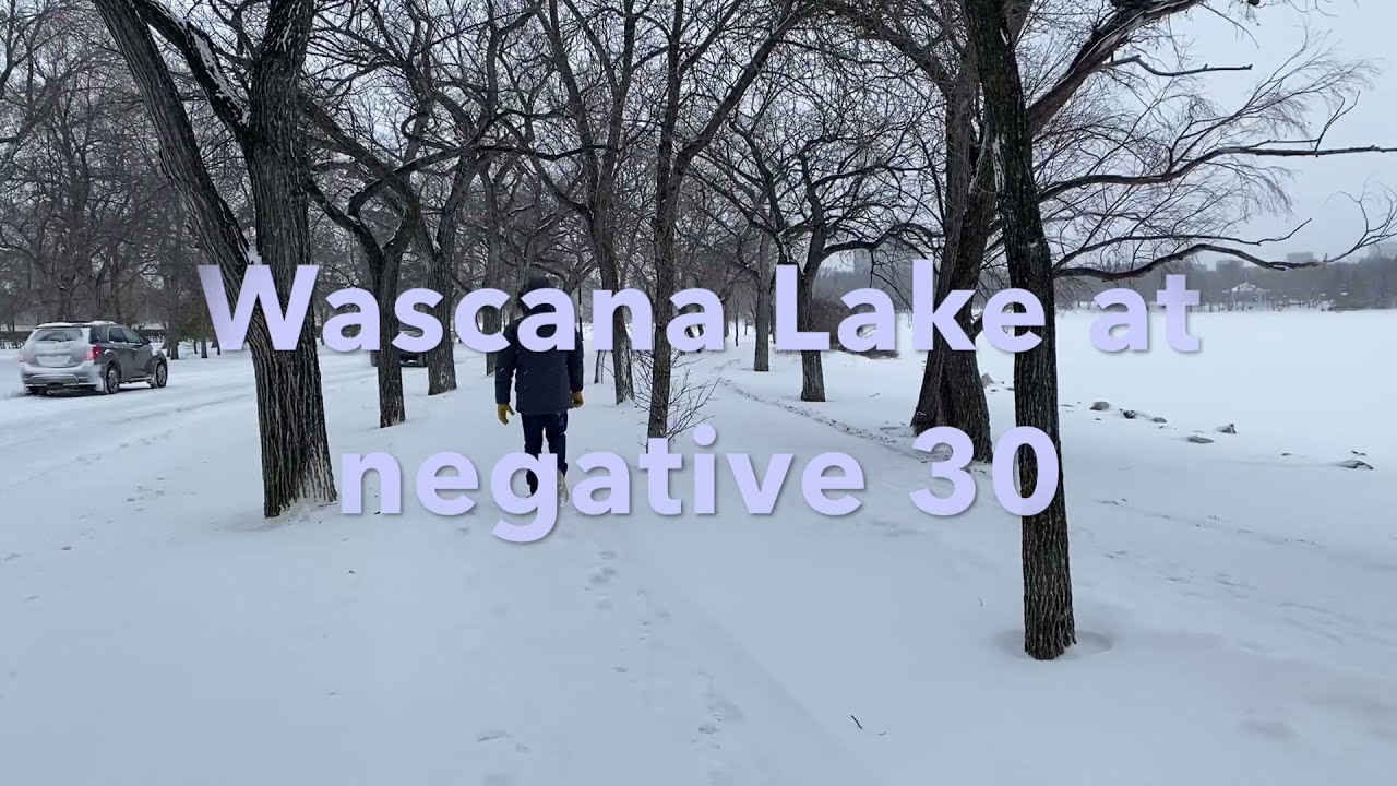 Wascana Lake, Regina at - 30 ish, feels like -40.  #reginask #winter #wascanalake #wascanapark