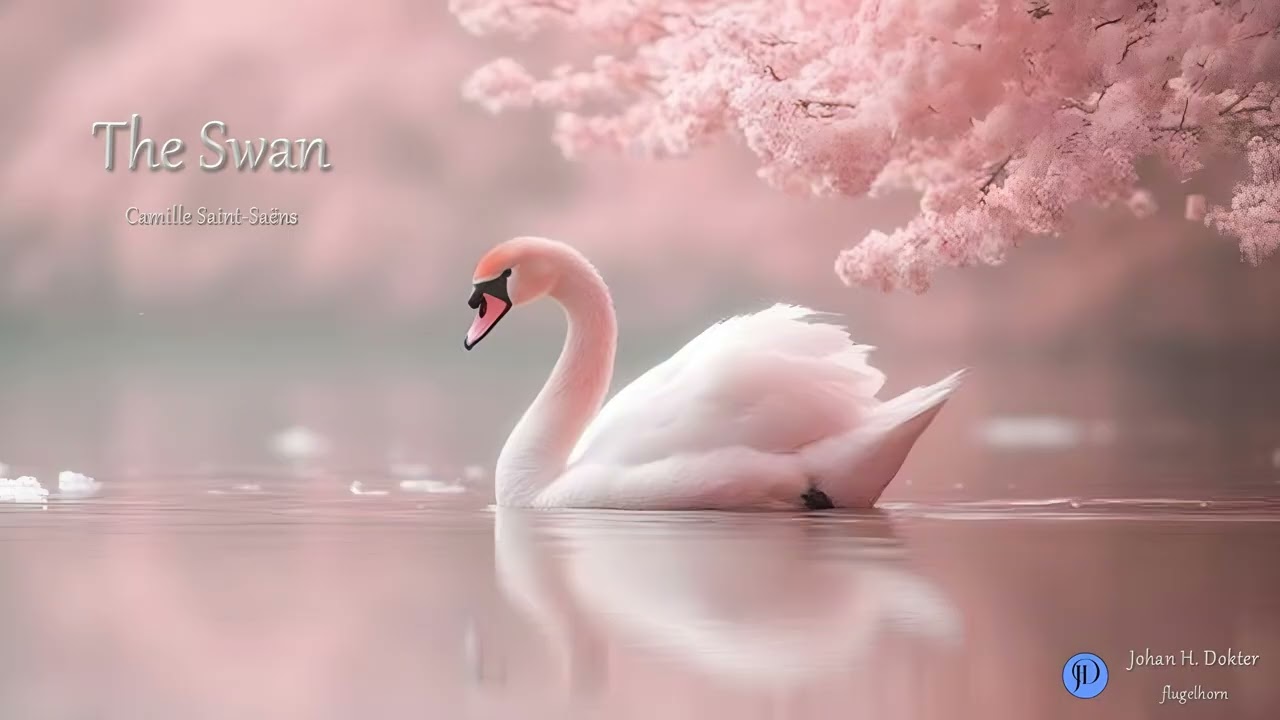 The Swan