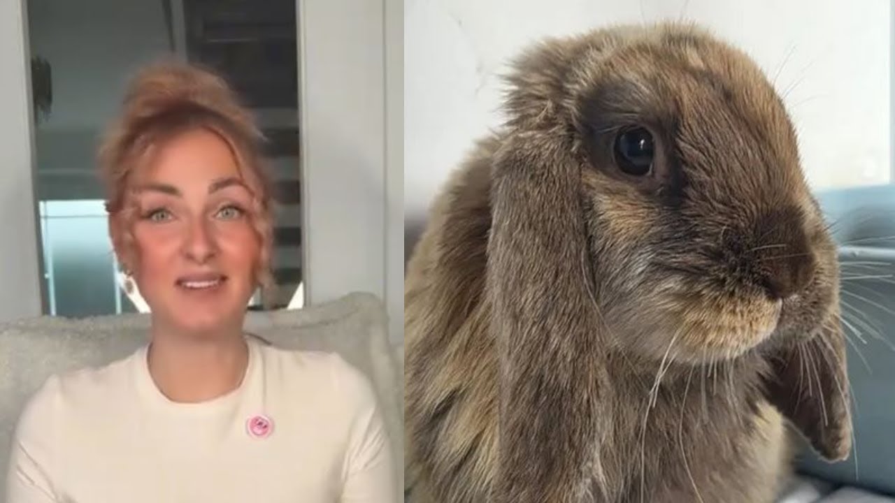 Aliciasmomlife setzt ihre Hasen im Wald aus!