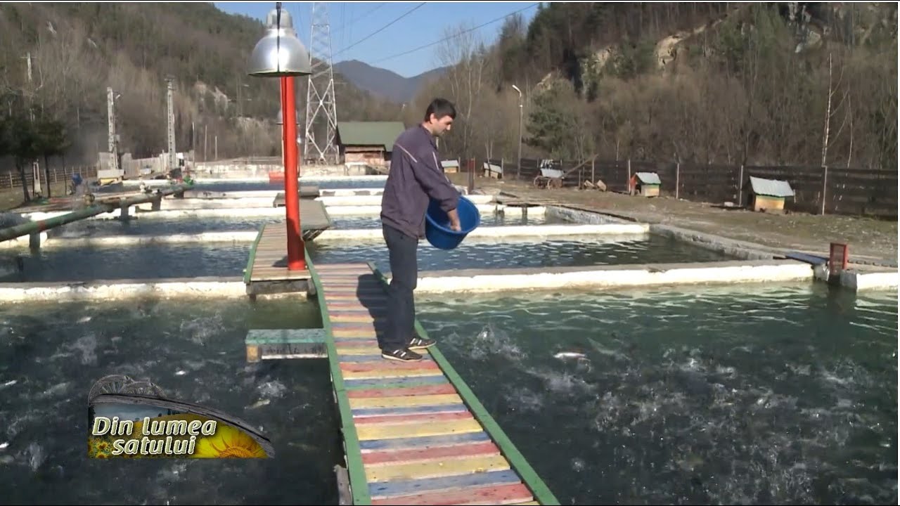 Ce condiții trebuie să îndeplinești ca să accesezi bani europeni pentru acvacultură