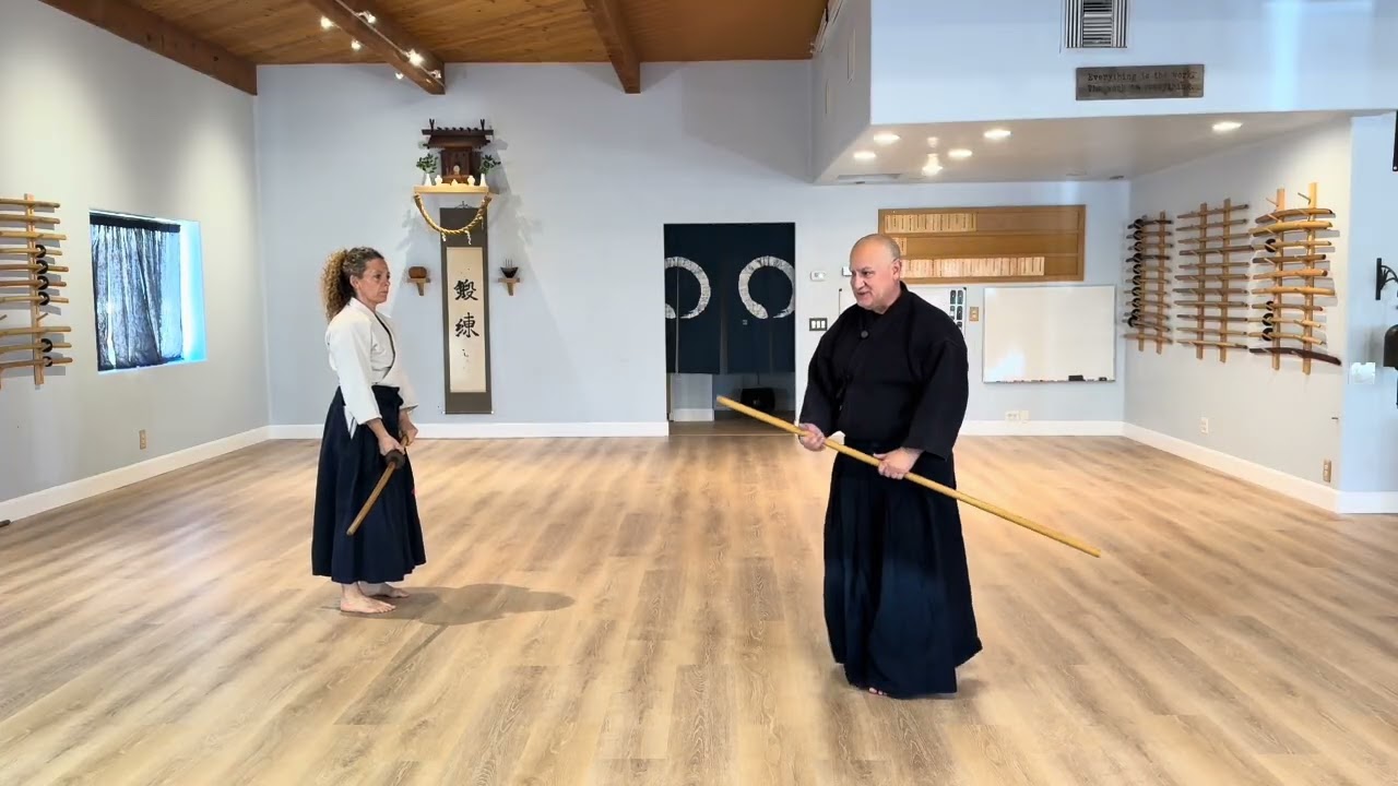 Aikido: Delusion - Seeing what you are looking at with the Selfing Eye.