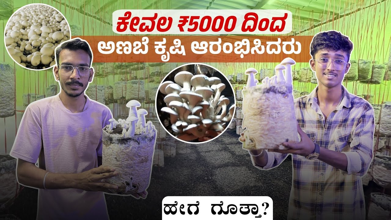 ಕೇವಲ ₹5000 ದಿಂದ ಅಣಬೆ ಕೃಷಿ ಆರಂಬಿಸಿದರು ಹೇಗೆ ಗೊತ್ತಾ? || impressing, and informative video #farming 