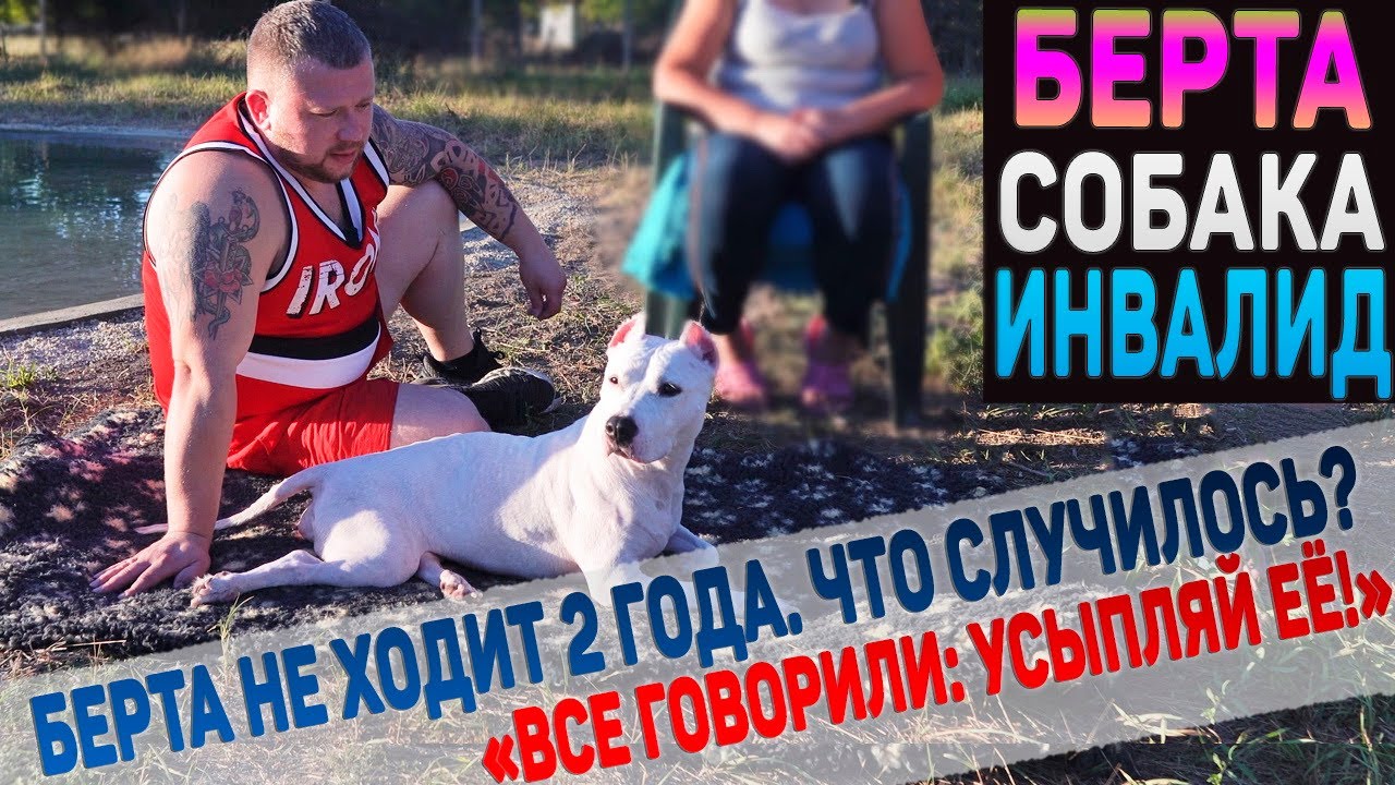 Как Берта стала инвалидом? Может ли поправиться? Полная история. У нас в гостях канал Амстафф Берта