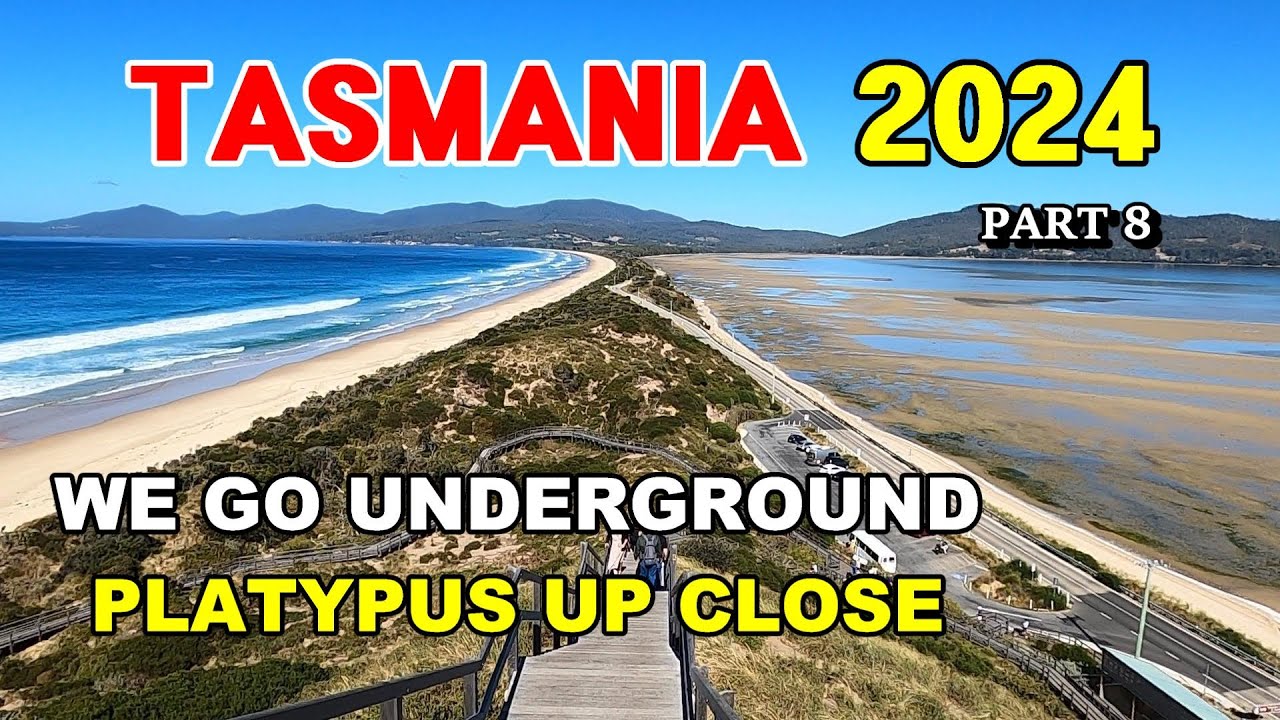 Tasmania 2024 / Pt 8 - Spectacular Beaches & 50 Metre AirWalk
