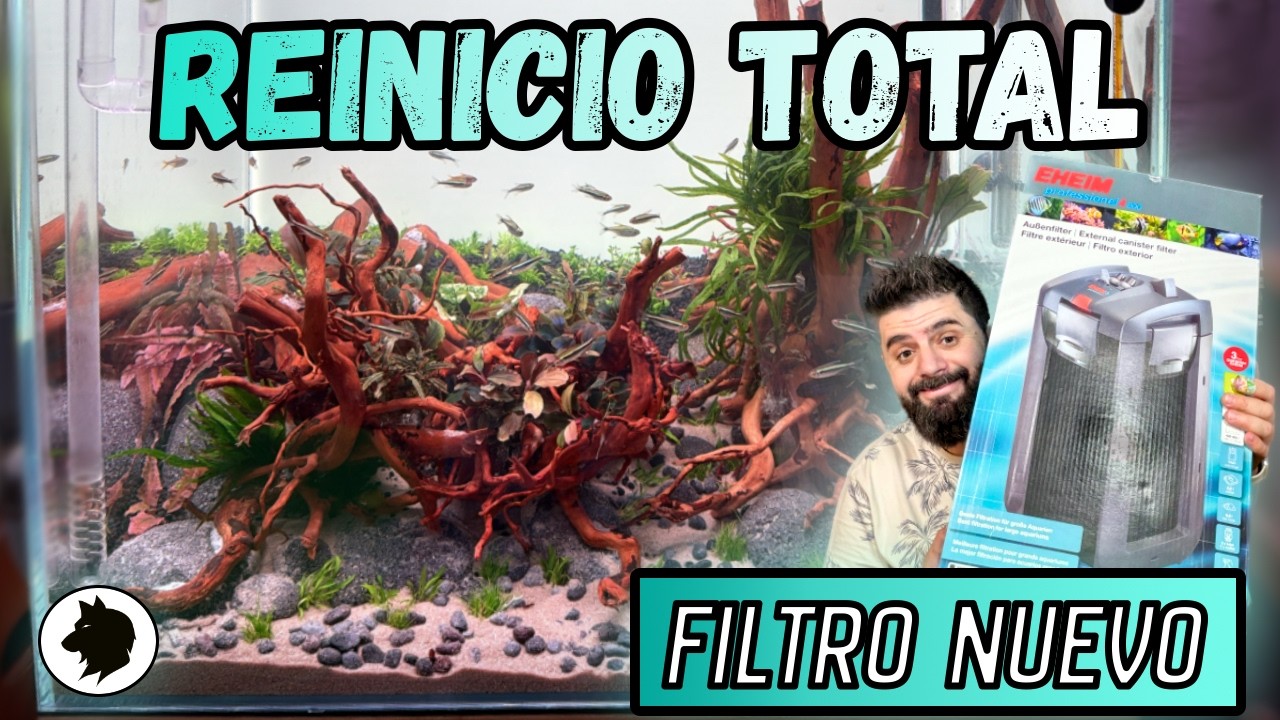 Todo fuera,Borrón y cuenta nueva , Nuevo montaje en el Rincón