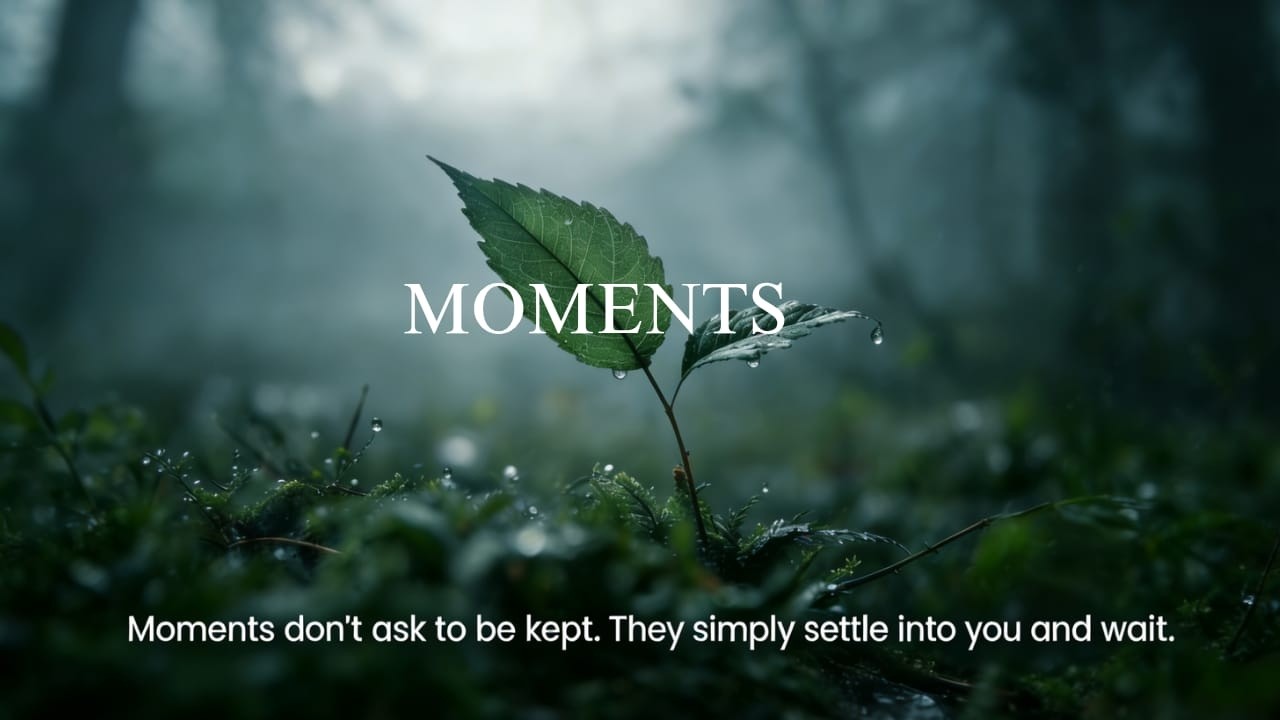 MOMENTS - Relaxing Guitar for Stress Relief & Focus