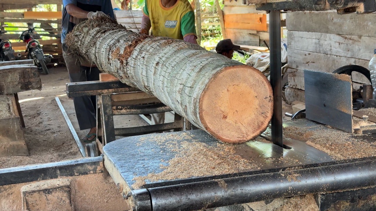 Understanding the Process of Cutting Coconut Wood 5x7 with a Sawmill Machine