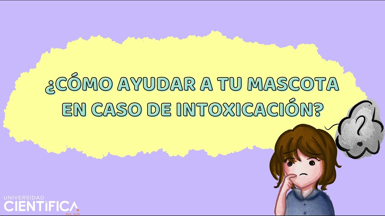 INTOXICACI&Oacute;N POR ORGANOFOSFORADOS EN PERROS Y GATOS