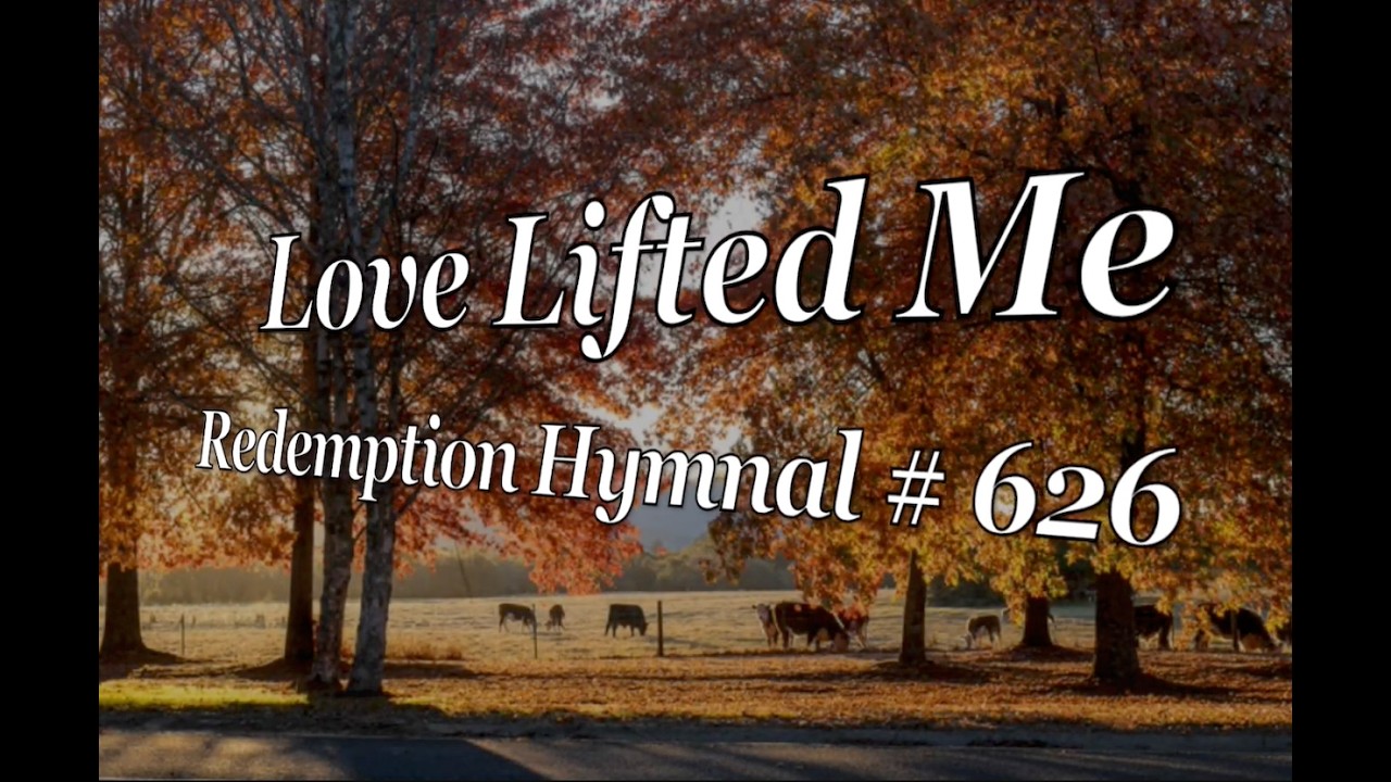 Love Lifted Me