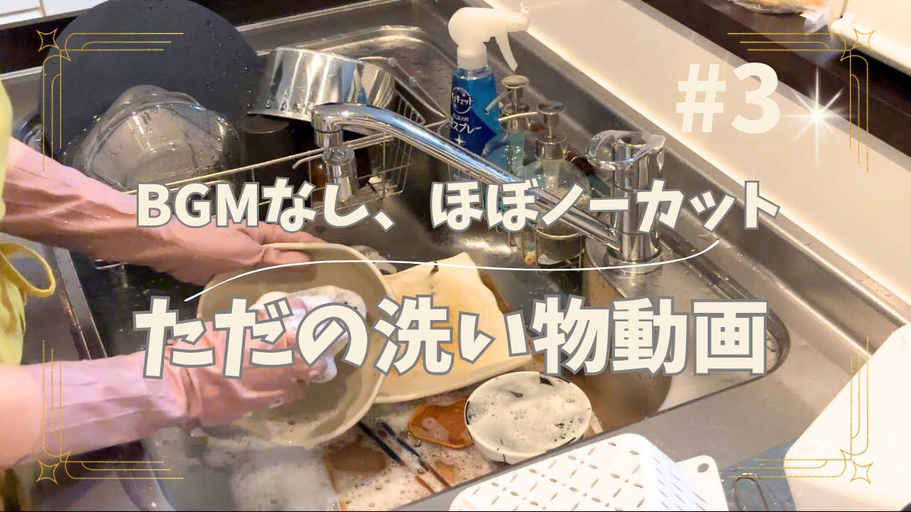 【仕事終わり】リアル家事。あらいもの全部見せます