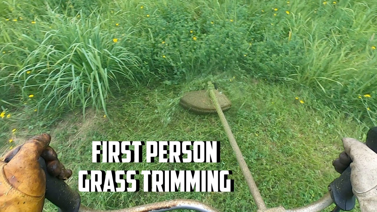 POV SATISFYING GRASS CUTTING| Stihl FS 131 Brush Cutter #Satisfying #Stihl