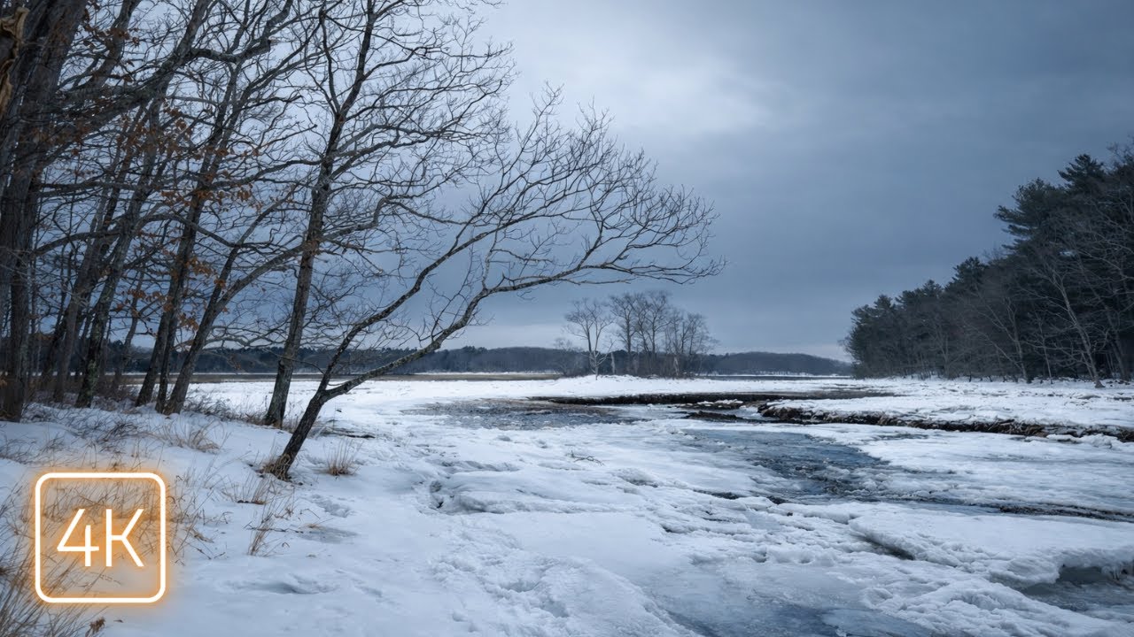 Maine's Frozen Marshes at Dawn: A Meditative Winter Trail