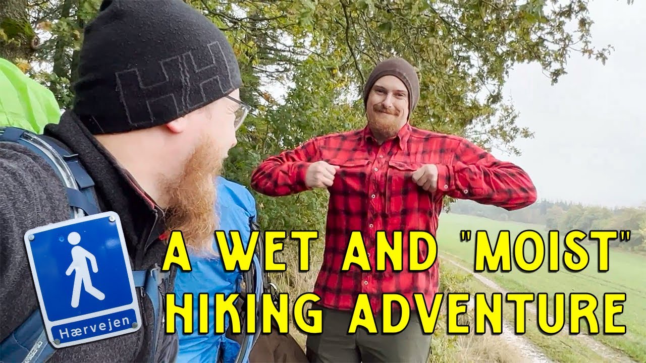 Fall hiking on The Ox Road (Denmark) | Silkeborg - Viborg | H&aelig;rvejen | Ochsenweg
