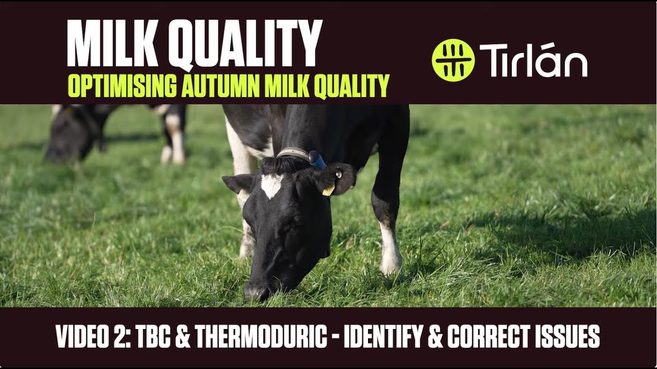 Autumn Milk Quality - Video 2   - TBC & Thermoduric - Identify & Correct Issues