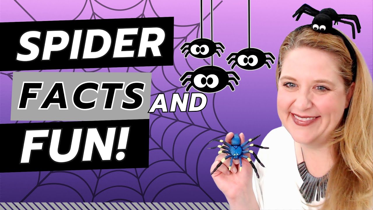 Spider Facts and Fun - Online Circle Time Lesson for Preschoolers