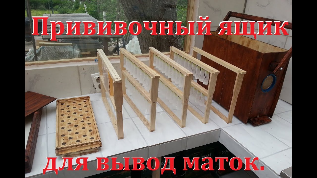 Прививочный ящик для вывода маток.