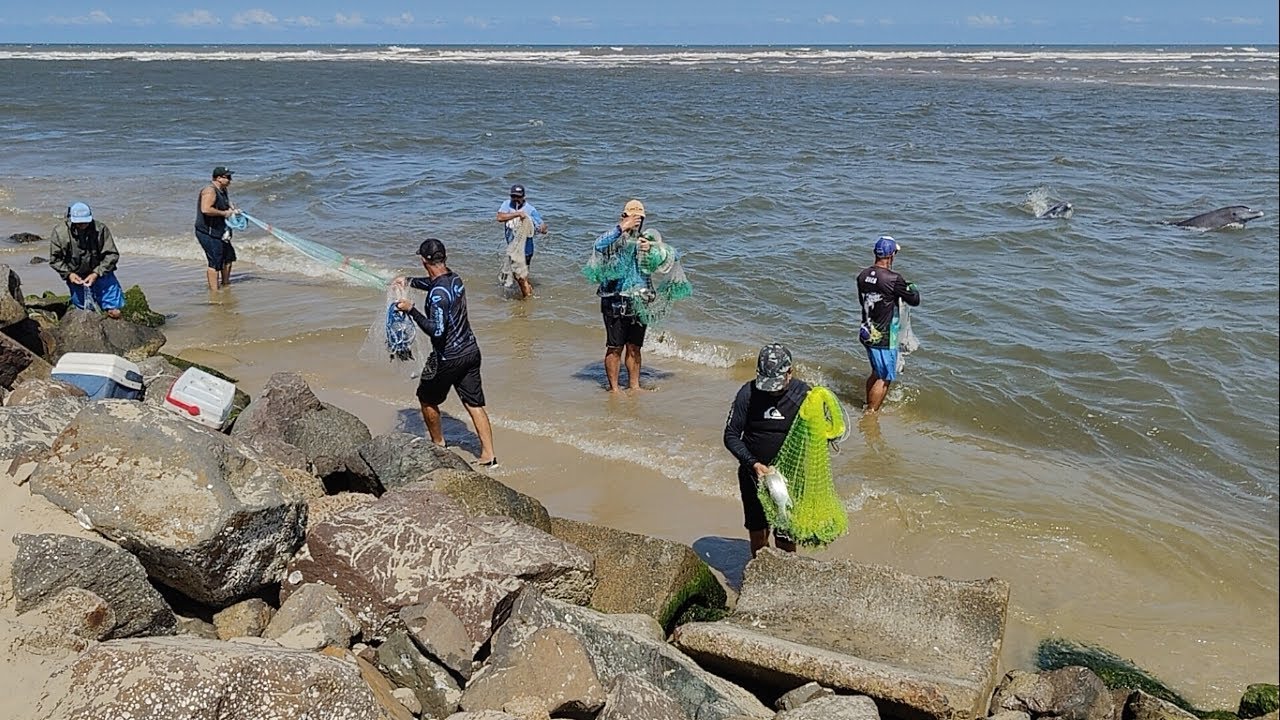 Pescas de tarrafas, 22-02-25, Molhes de Imbé. SHOW! Botos cercando. #pescadetarrafas #fishing