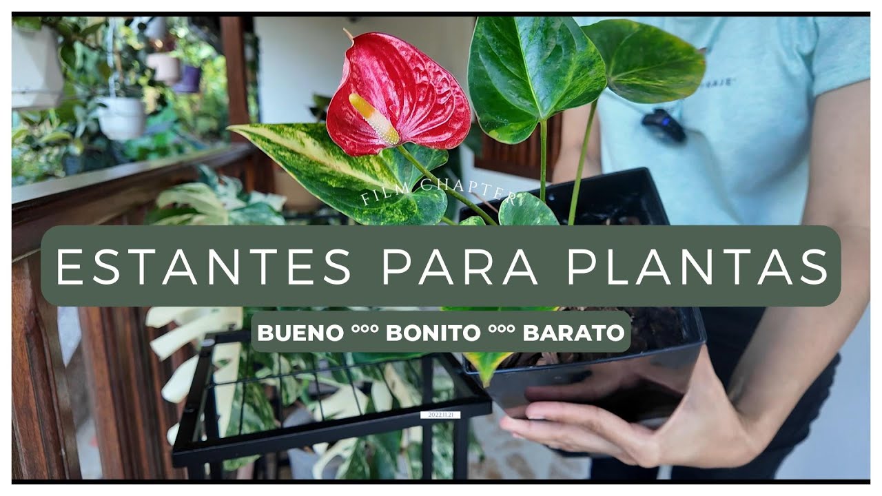 COMPRÉ UNAS ESTANTERIAS BBB, Y REORGANICÉ MI BALCÓN CORREDOR