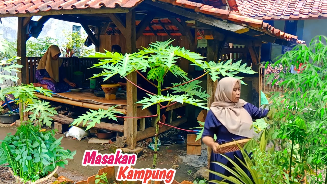 Panen Daun Singkong | Masak Jengkol, Pepes Ikan Asin, Sayur Daun Katuk, Sambal Goreng, Lalapan